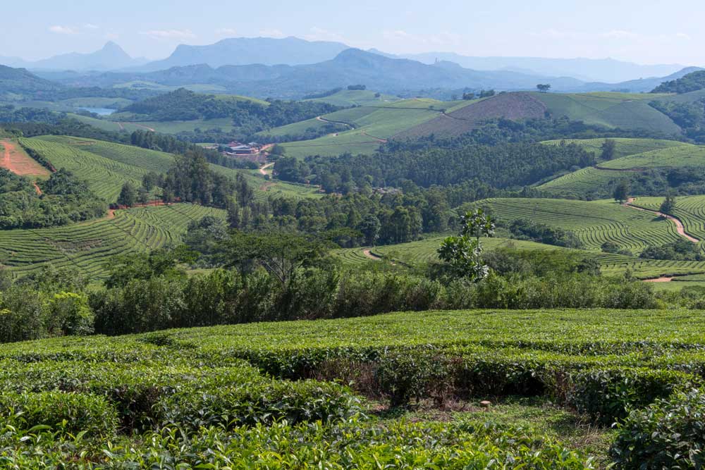 Manicaland rises: President Mnangagwa’s mantra bears fruit